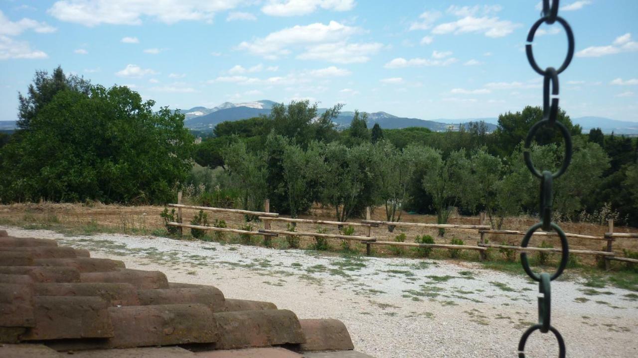 Agriturismo La Torraccia Exterior foto