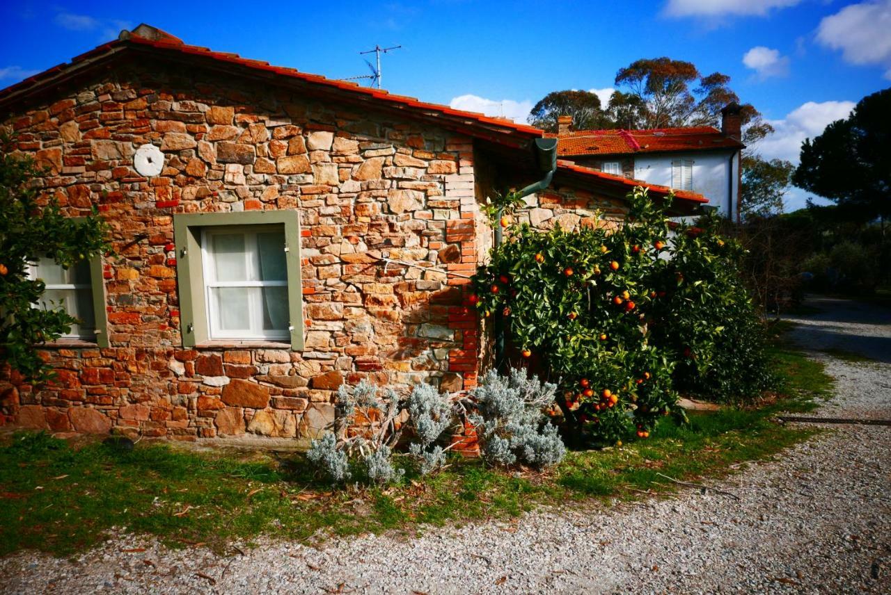 Agriturismo La Torraccia Exterior foto