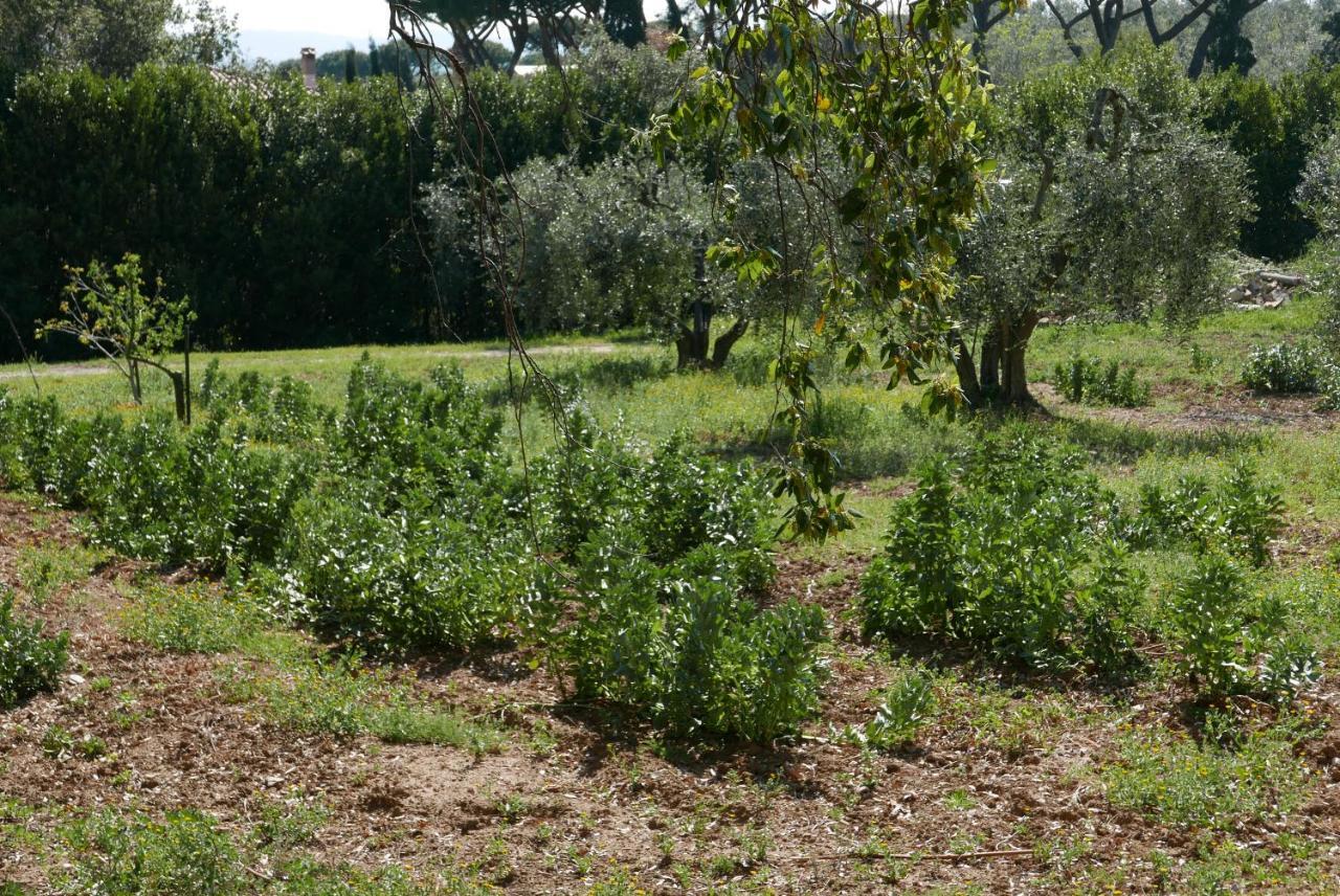 Agriturismo La Torraccia Exterior foto